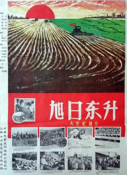 《旭日东升》：在绝境中燃起求生之火，揭秘人性最真实的《生存游戏》