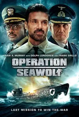 《海狼行动》：硬核海战燃爆！这才是国产战争片该有的样子！